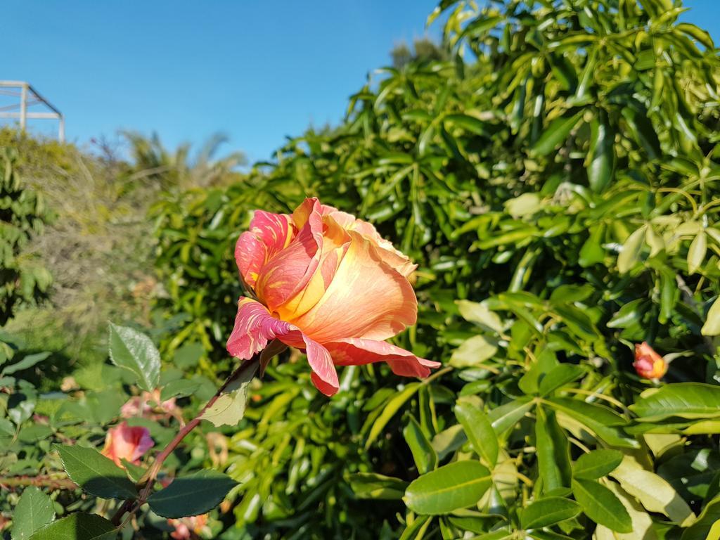 Vila Casas Tipicas Algarvias Arroteia de Baixo Exteriér fotografie
