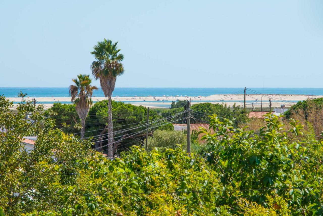 Vila Casas Tipicas Algarvias Arroteia de Baixo Exteriér fotografie